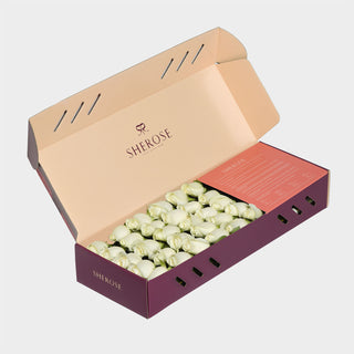 Sherose Burgundy Küçük Kutu Gül