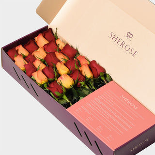 Sherose Burgundy Küçük Kutu Gül