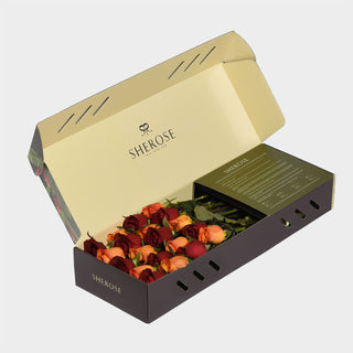 Sherose Tropical Küçük Kutu Gül