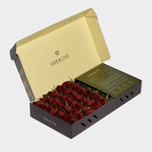 Sherose Tropical Büyük Kutu Gül