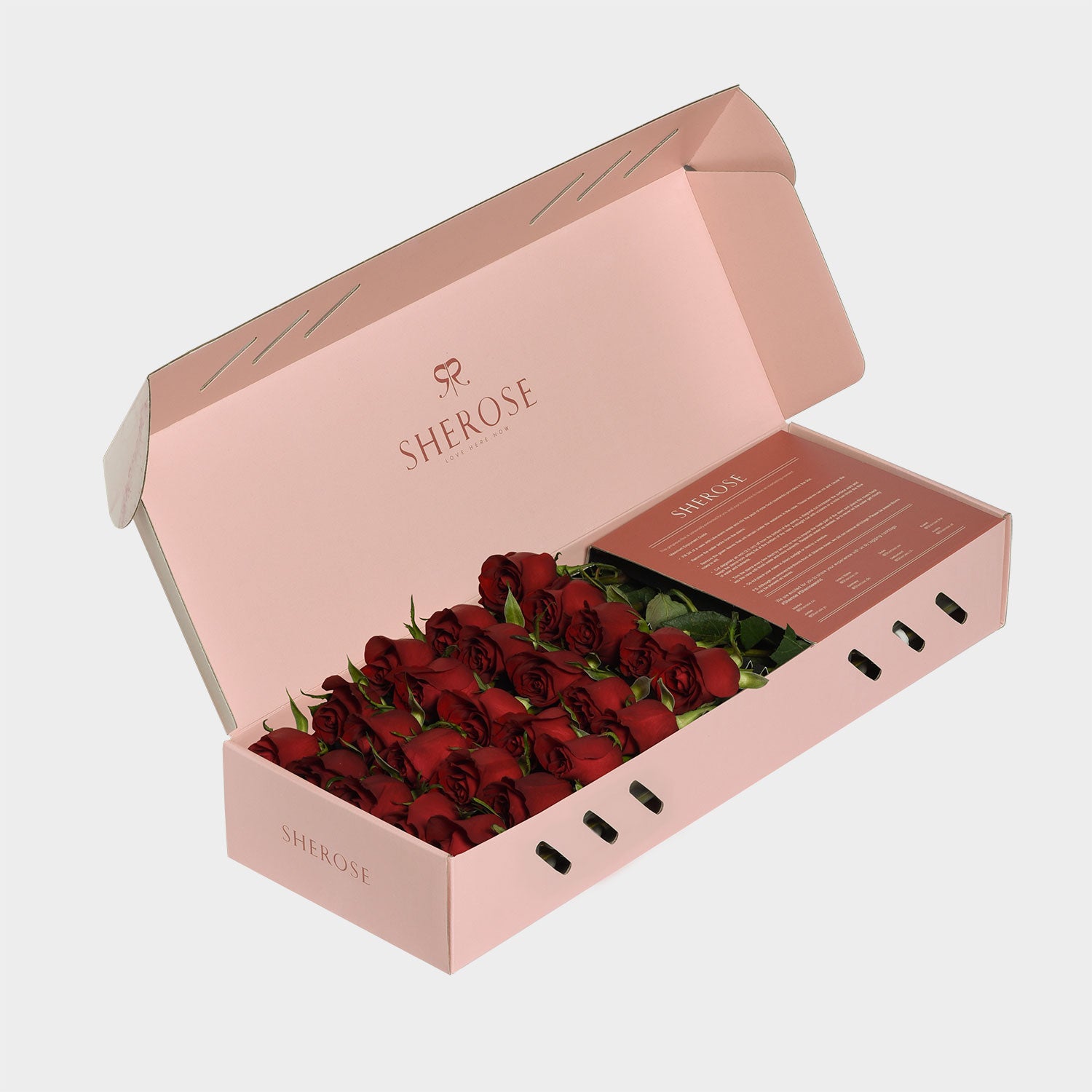Sherose Watercolor Küçük Kutu Gül