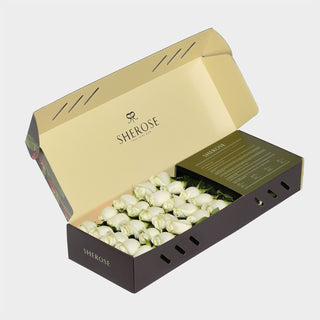 Sherose Tropical Küçük Kutu Gül