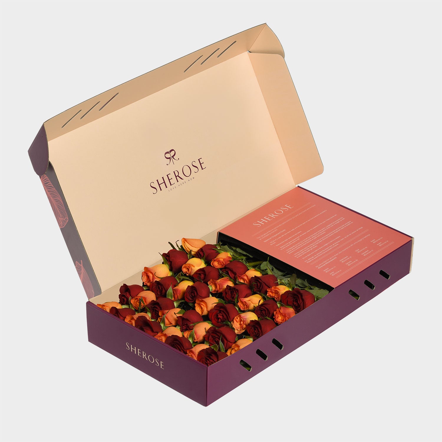 Sherose Burgundy Büyük Kutu Gül