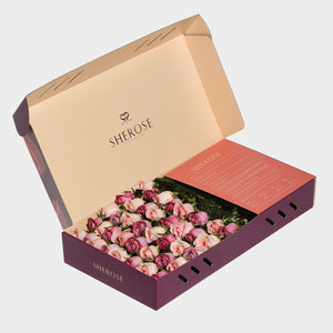 Sherose Burgundy Büyük Kutu Gül