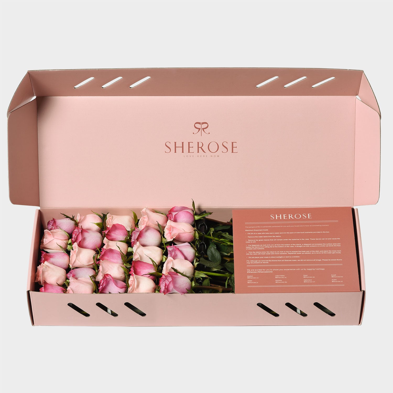 Sherose Watercolor Küçük Kutu Gül