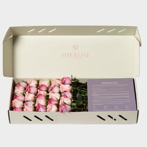 Sherose Palm Küçük Kutu Gül