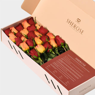 Sherose Terrazzo Küçük Kutu Gül