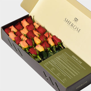 Sherose Tropical Küçük Kutu Gül
