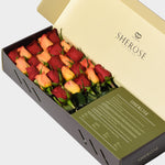 Sherose Tropical Küçük Kutu Gül