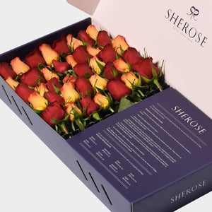 Sherose Blue Büyük Kutu Gül