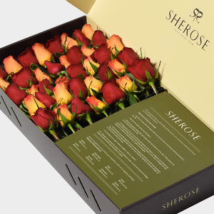 Sherose Tropical Büyük Kutu Gül