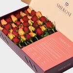 Sherose Burgundy Büyük Kutu Gül