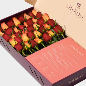 Sherose Burgundy Büyük Kutu Gül