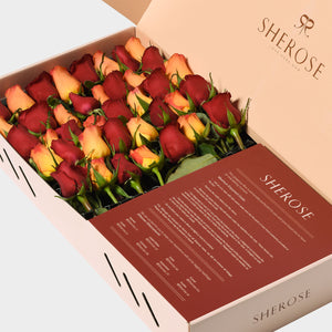 Sherose Terrazzo Büyük Kutu Gül