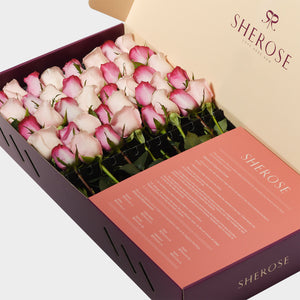 Sherose Burgundy Büyük Kutu Gül