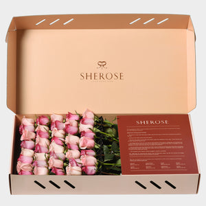 Sherose Terrazzo Büyük Kutu Gül