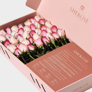 Sherose Watercolor Büyük Kutu Gül