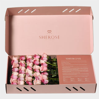 Sherose Watercolor Büyük Kutu Gül