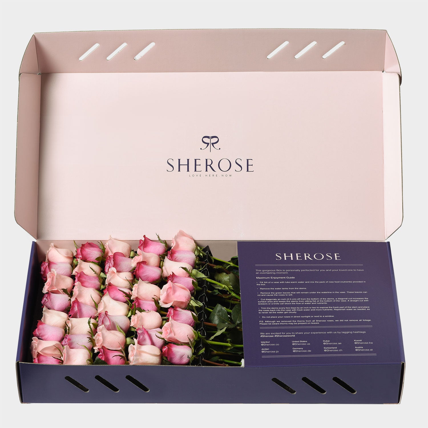 Sherose Blue Büyük Kutu Gül
